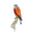 Kestrel Antiques