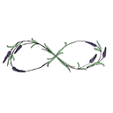 Lavender Fields Forever LLC