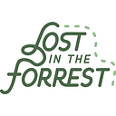 Lost in the Forrest