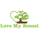 Love My Bonsai