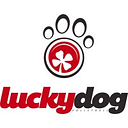 Lucky Dog Volleyball