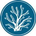 Maui Divers Jewelry
