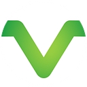 MVSI logo
