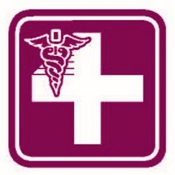LH