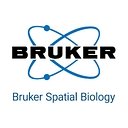 Bruker Spatial Biology logo
