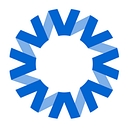 National Vision logo