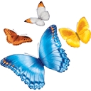 Nationwide Childrens Hospital logo