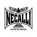 Necalli Boxing