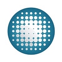 NetSoft logo