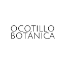 Ocotillo Botánica