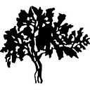 Palo Verde Community College District