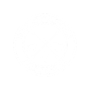 Pig Chasing Australia