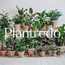 Plantredo