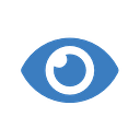 Pro-Optics LLC