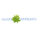 Ramsey Succulents