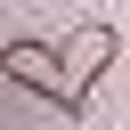 SD
