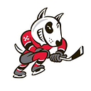 Niagara IceDogs Retail Store