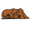 SleepDogMattress