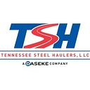TSH, logo