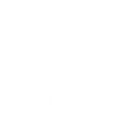 Te Pukenga - New Zealand Institute of Skills and Technology logo