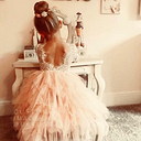 The Fairy Princess 