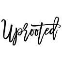 Uprooted The Traveling Boutique 