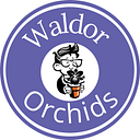 Waldor Orchids 