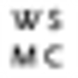 WS