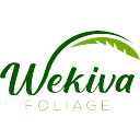 Wekiva Foliage