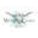 Western Charm Boutique