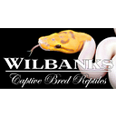 Wilbanks Captive Bred Reptiles