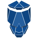 Wise Skulls logo