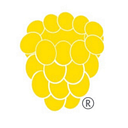 Yellowberry