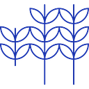 GESA COMMUNITY FOUNDATION logo