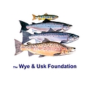 The Wye And Usk Foundation logo