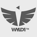 WYLD1 (US) logo