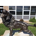 Wynford Local Schools logo