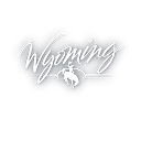 wyo.gov icon