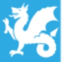 Wyvern Partners logo