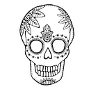 Xander Kostroma logo