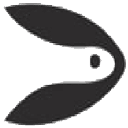 Shiguang Semiconductor