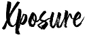 Xposure Inclusion & Diversity Council logo