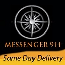 Power Express Delivery, LLC logo