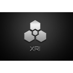 Xtreme Reality Integration Inc. logo