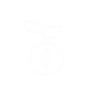Xs Financial, Inc logo