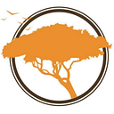 Y Africa logo