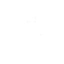 The Y Collective logo