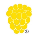 Logo for yellowberrycompany.com
