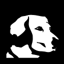 Yellow Dog Fly Fishing