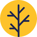 Wybers Wood Academy logo